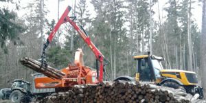 Landschaftspflege Udo Hückl