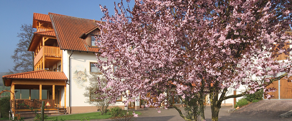 Urlaub in der Bayerischen Rhön